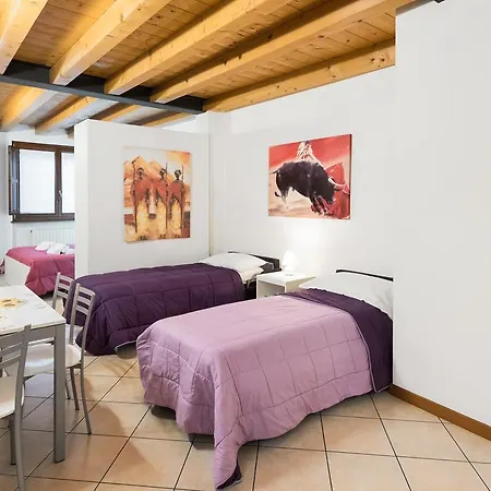 维罗纳迪莫勒酒店 *